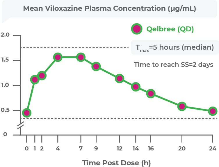 Graph showing SS plasma concentration with Qelbree™ (viloxazine extended-release capsules) over 24 hours