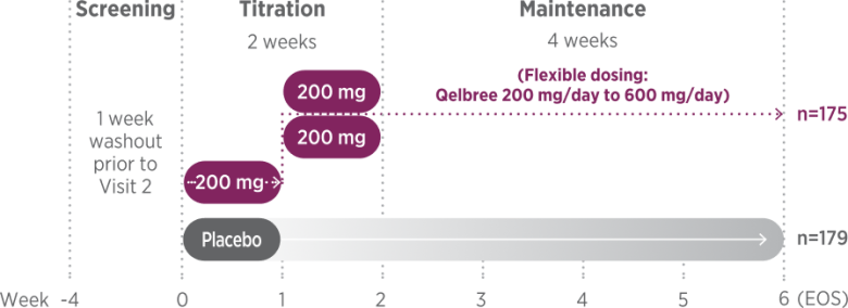 A timeline chart outlines adult ADHD patient treatment tracks across Screening, Titration (2 weeks), and Maintenance (4 weeks) phases from Week -4 to Week 6. Following a 1-week screening washout period, participants are tracked across two primary arms: a placebo group (n=179) starting at Week 0, and a Qelbree flexible dosing group (n=175) that titrates at 200 mg increments during weeks 1 and 2 before entering a flexible maintenance range of 200 mg/day to 600 mg/day, with both arms concluding at Week 6.