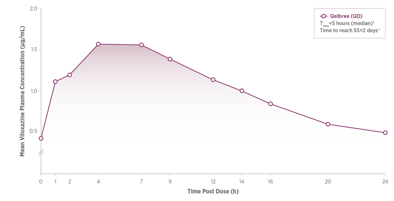 A line graph illustrates the mean viloxazine plasma concentration over a 24-hour period following a once-daily (QD) dose of Qelbree utilizing the Microtrol® rapid- and extended-release platform. The concentration curve rapidly rises within the first few hours post-dose, plateaus between 4 and 7 hours with a median of 5 hours, and steadily declines through Hour 24, with a note indicating the time to reach steady state (SS) is 2 days.